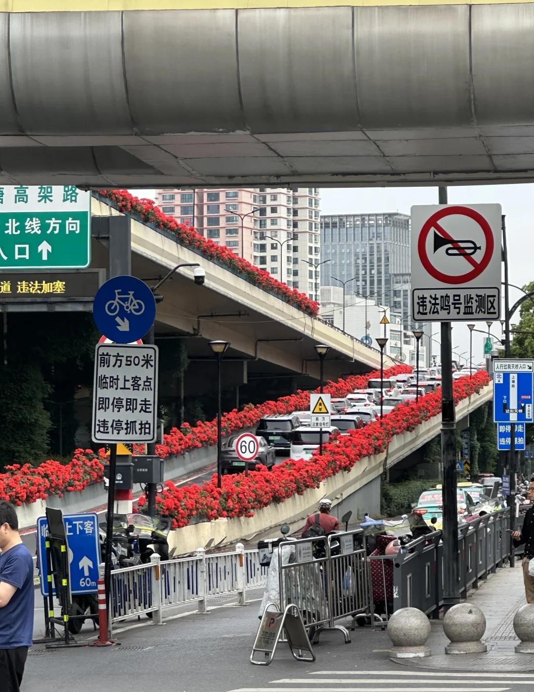 杭州高架永远不会让人失望
主打一个红红火火🔥杭州 杭州高架花 路上的春天