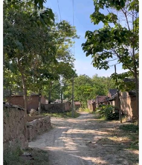 失信被执行人的孩子能考公务员吗？2026年最新权威解答
 
父母被列为失信被执行