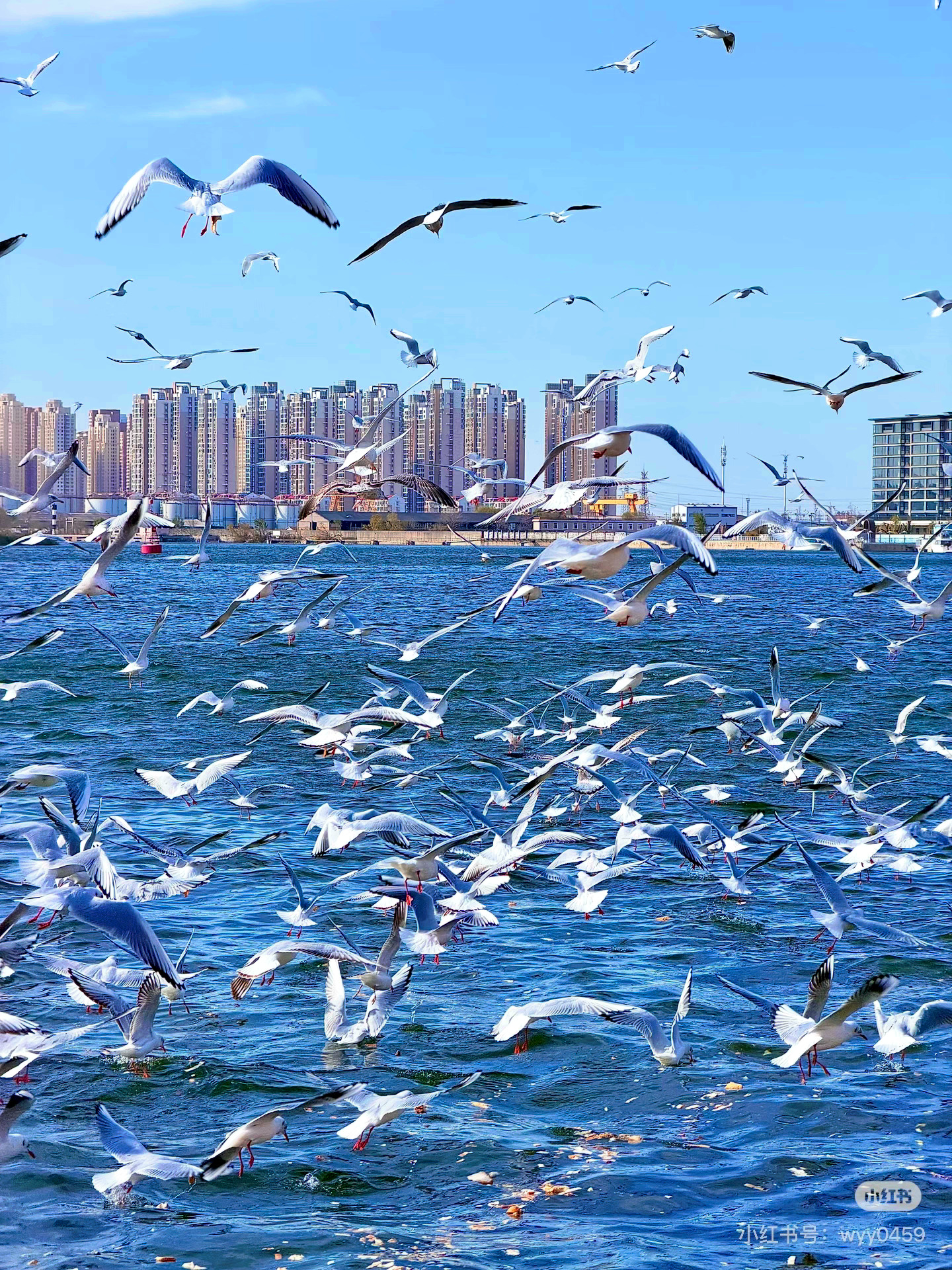 在无穷文字中遇见无限的自己我的私人宝藏书单书评 海风漫过旧书册，温柔治愈所有遗憾