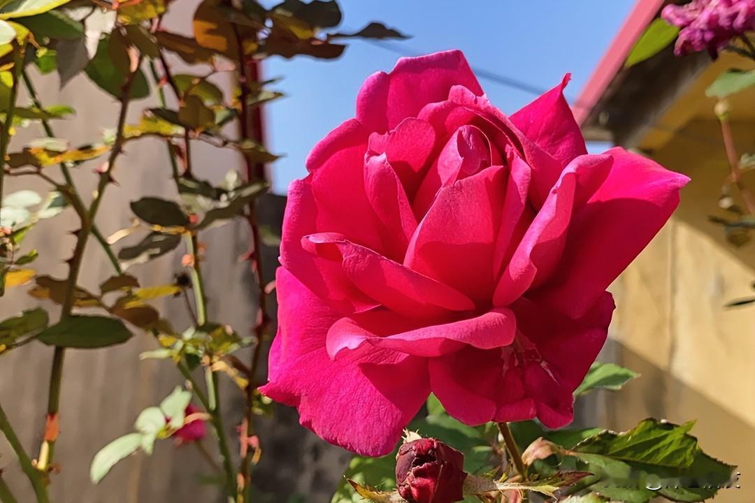 今天才知道，小区一个邻居的孩子，上初中，从去年就没上学，一年多了，天天在家待着。