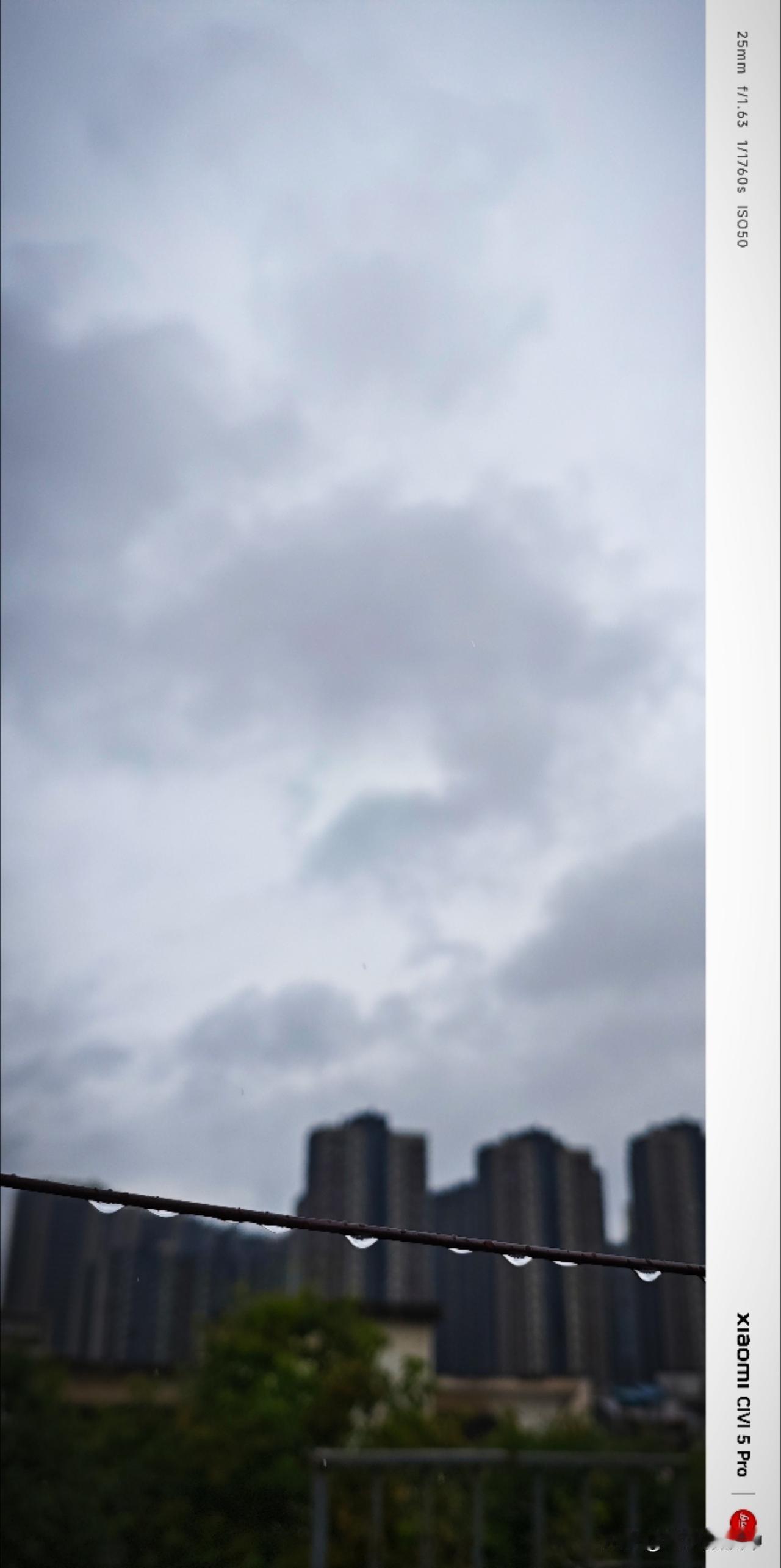 雨水轻重缓急的起伏着，竖耳听听，雨珠顺着耳蜗轻盈地跃进思绪里，带着一股子淡淡的凉