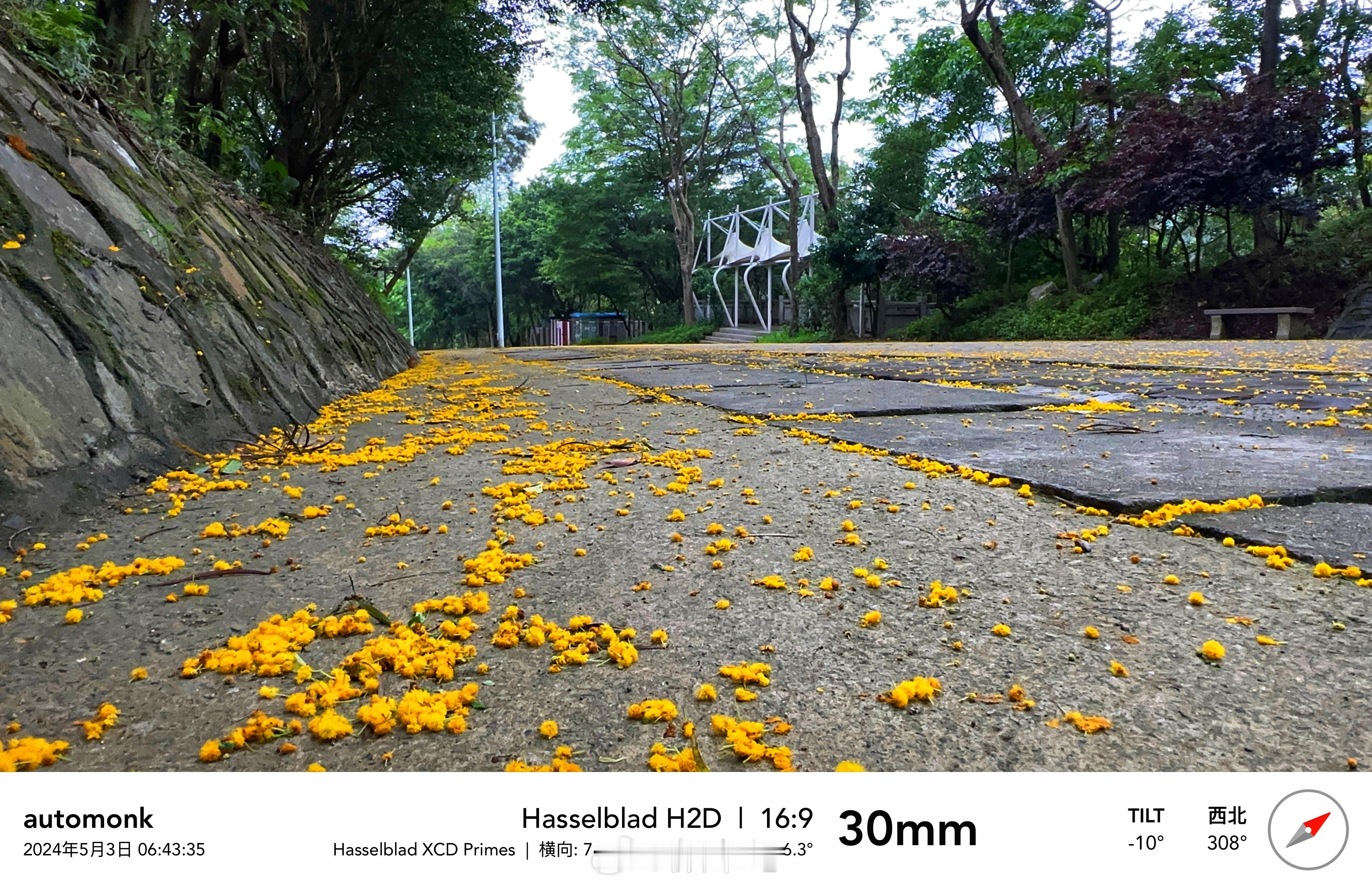 五一节，再登梧桐山，年后的第三次登上大梧桐，从2小时35分到2小时17分，今天终