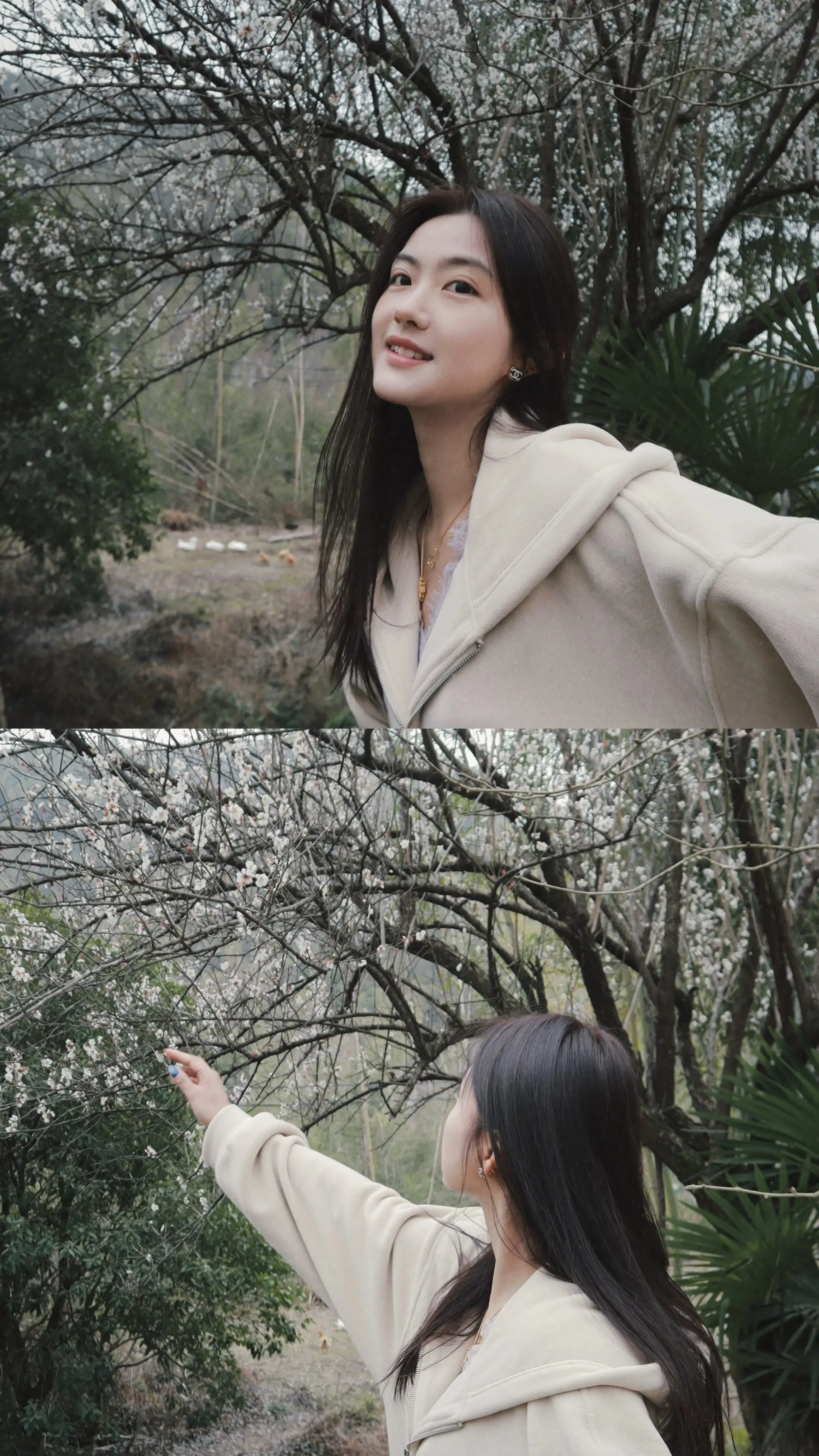 如果我一颗心被你俘虏