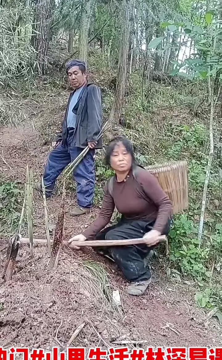 热门