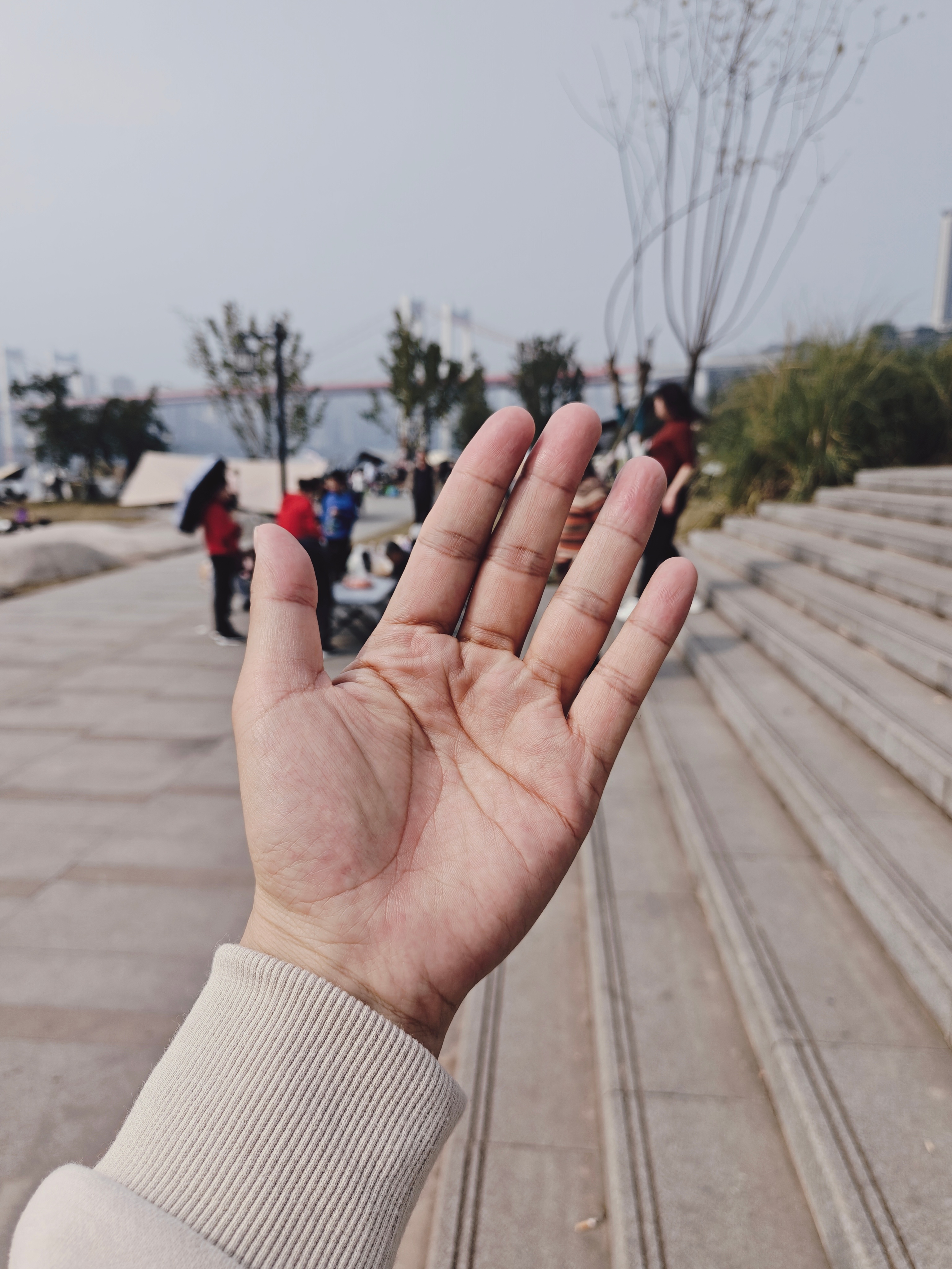 刚发现闭着眼睛看太阳一会儿再睁开眼睛，看周围色彩就像套了一层 log [笑cry