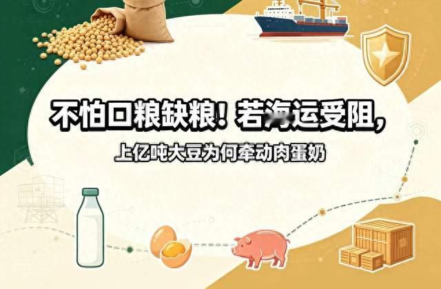 不怕口粮缺粮！若海运受阻，上亿吨大豆为何牵动肉蛋奶