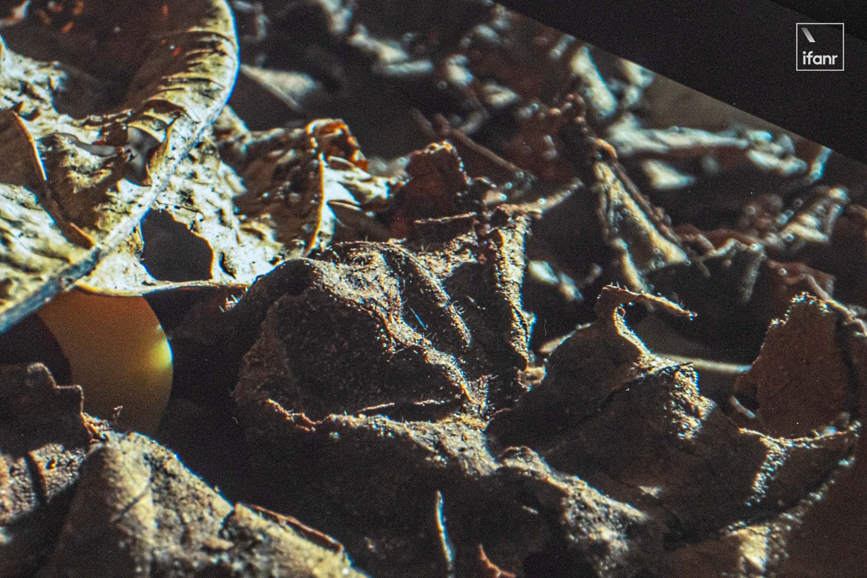 OPPO Pad5 柔光版體驗：好看的屏幕是基本，更輕更薄更合理的基礎款