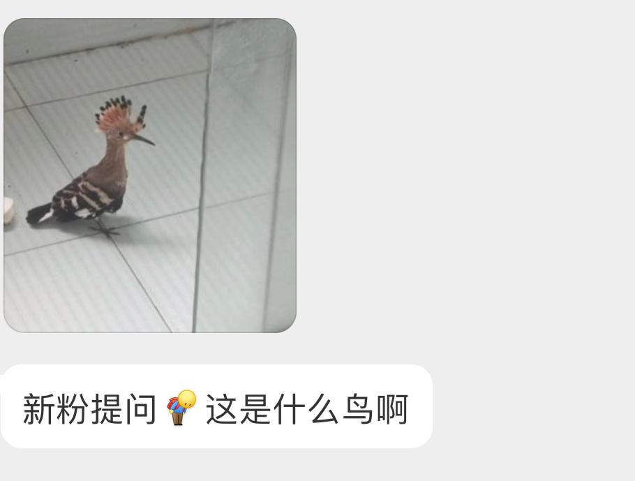 送分题环节～这题你们总会吧🙊 ​​​