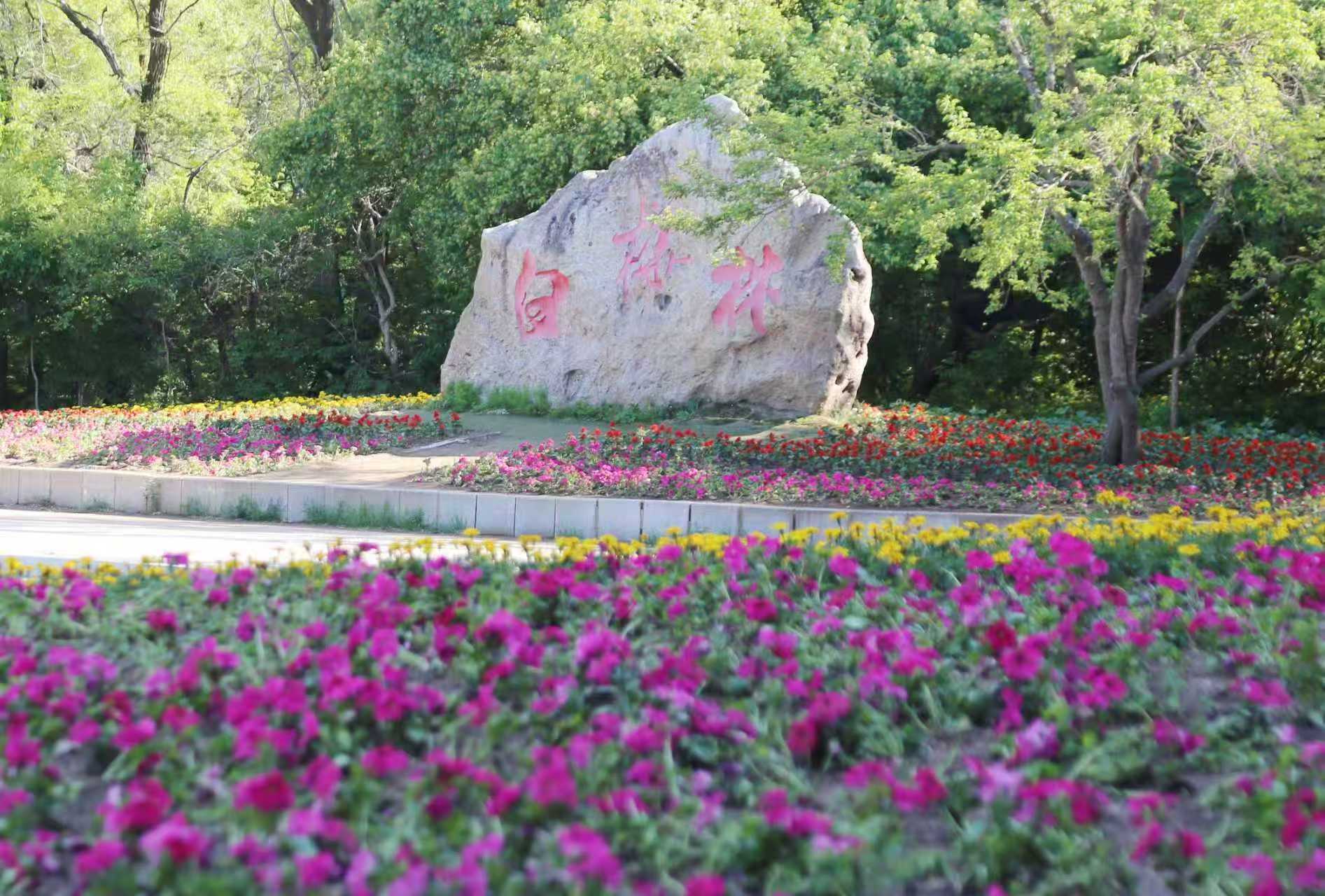 五一来邂逅抚顺的青绿 岗山的杜鹃把绿意染成胭脂色，萨尔浒的湖光映着蓝天打了个盹。