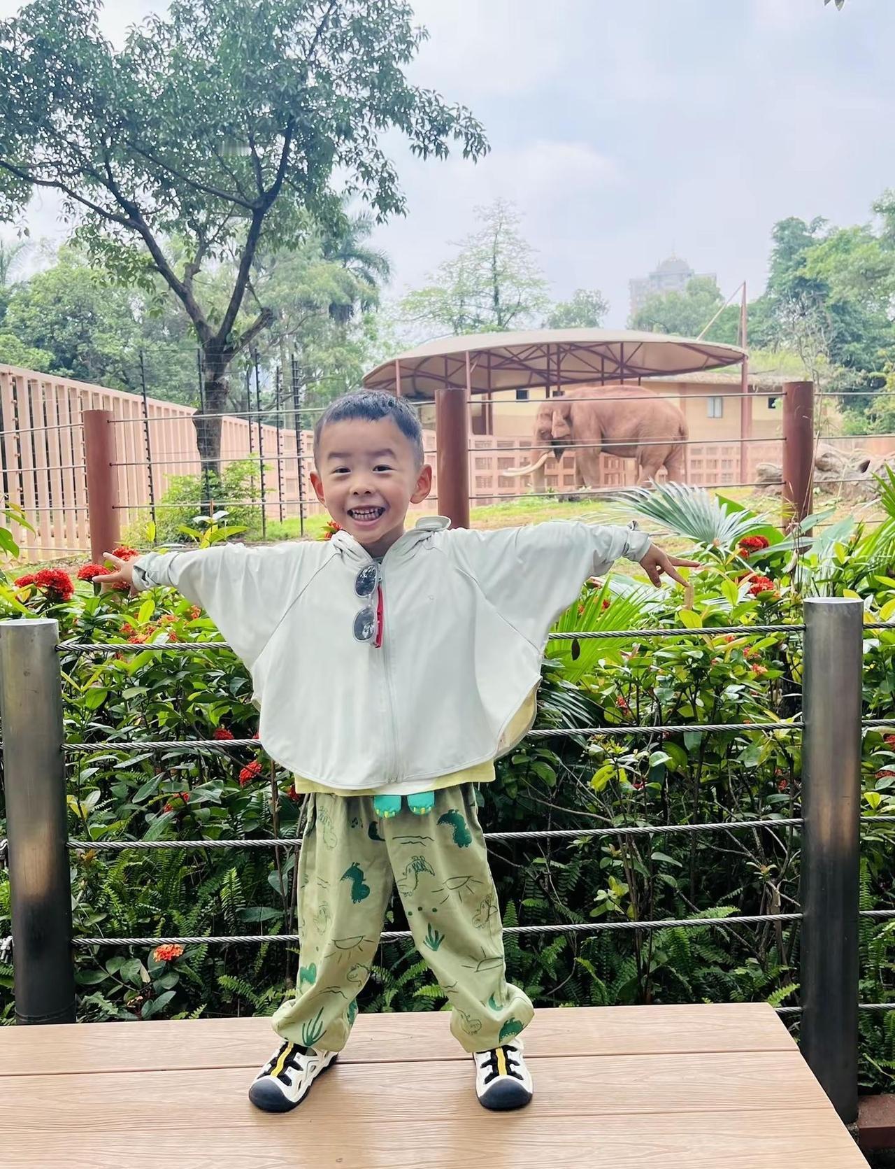 来广州怎么能不来广州动物园 呢，20块就能带来的快乐！动物园有什么 广州周末去哪