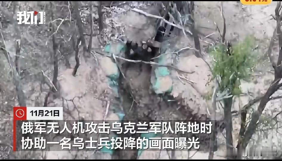 俄乌冲突的战场总是不断有让人唏嘘的画面。最近流出俄无人机护送求饶乌士兵到俄军阵地