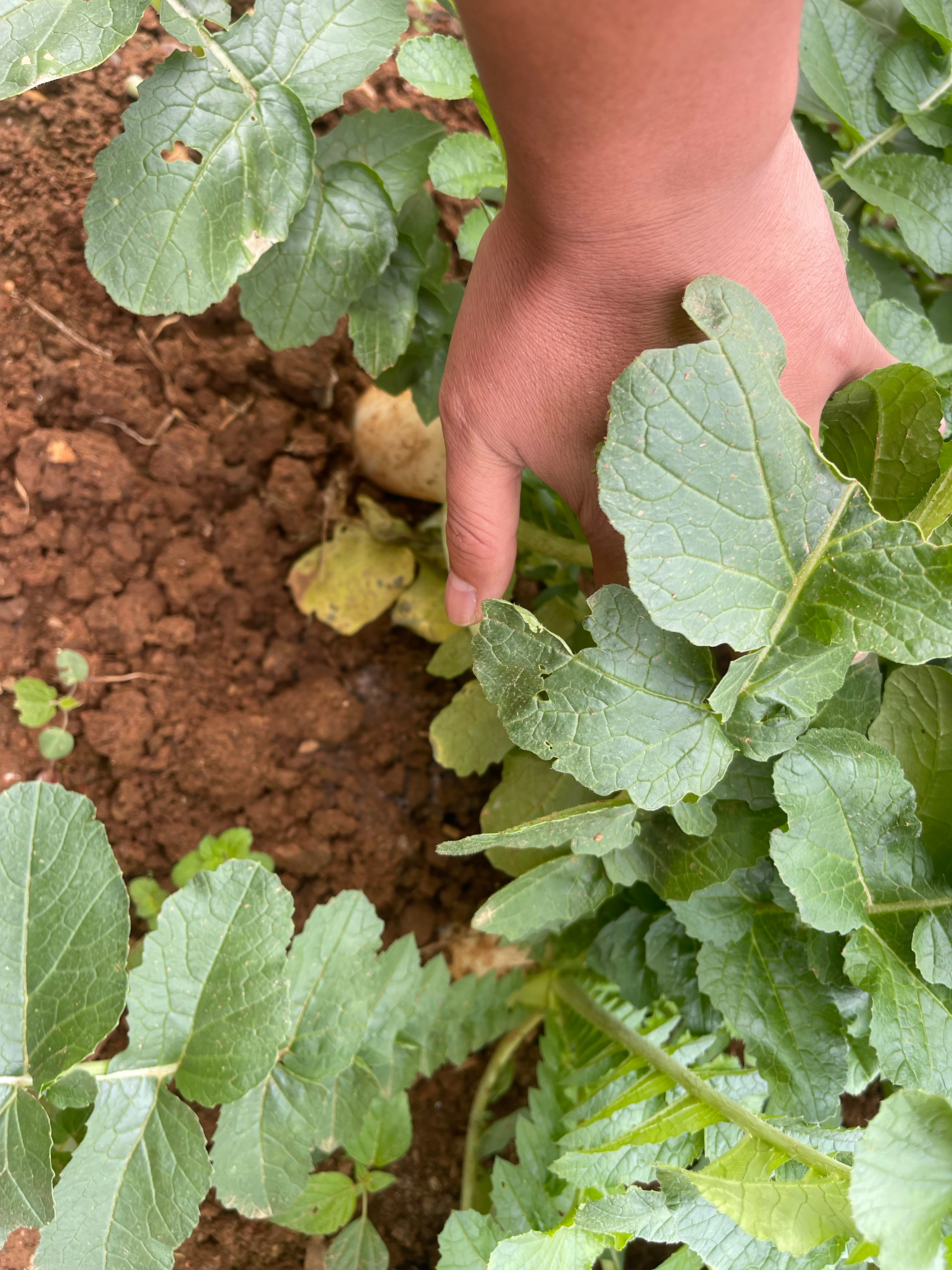 湖北马上要降温了，低至到零度 ，趁着天气好，后天出去钓个鱼，这几天再收几台车，坐
