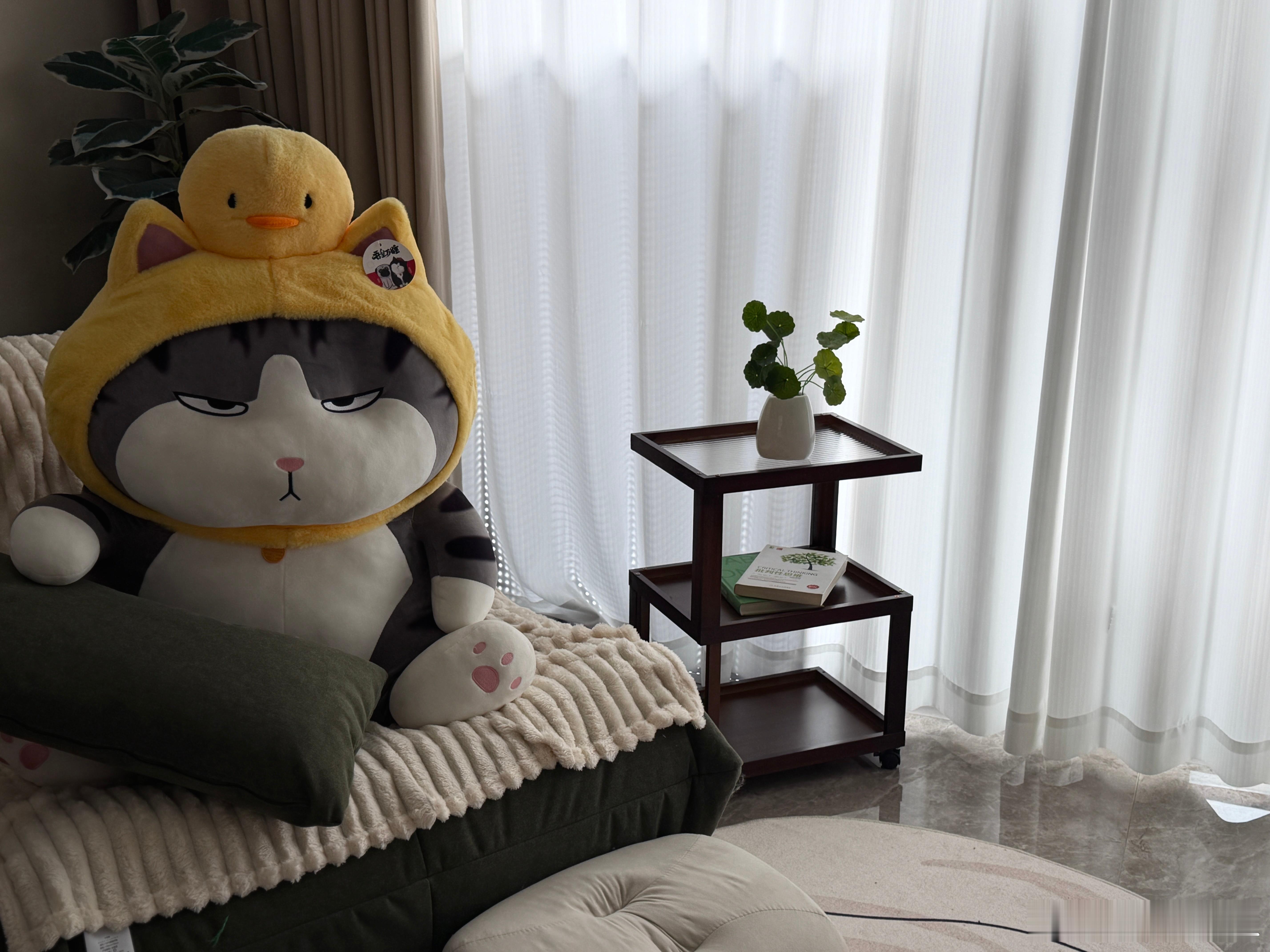 礼物已查收！！🤗🤗感谢羽毛哥提前送来的生日礼物🎁朋友之间的久处不厌，是因为