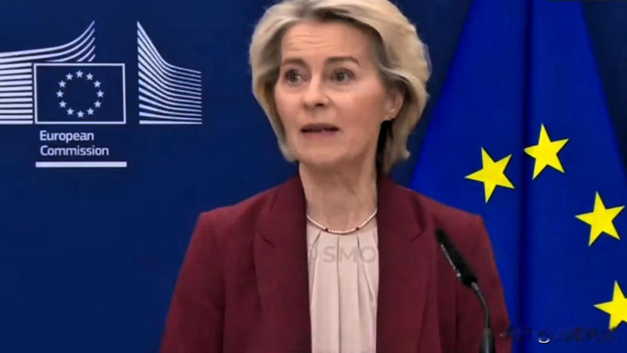 欧盟委员会主席冯德莱恩:“欧盟委员会将于2026年初提议全面永久禁止俄罗斯石油进