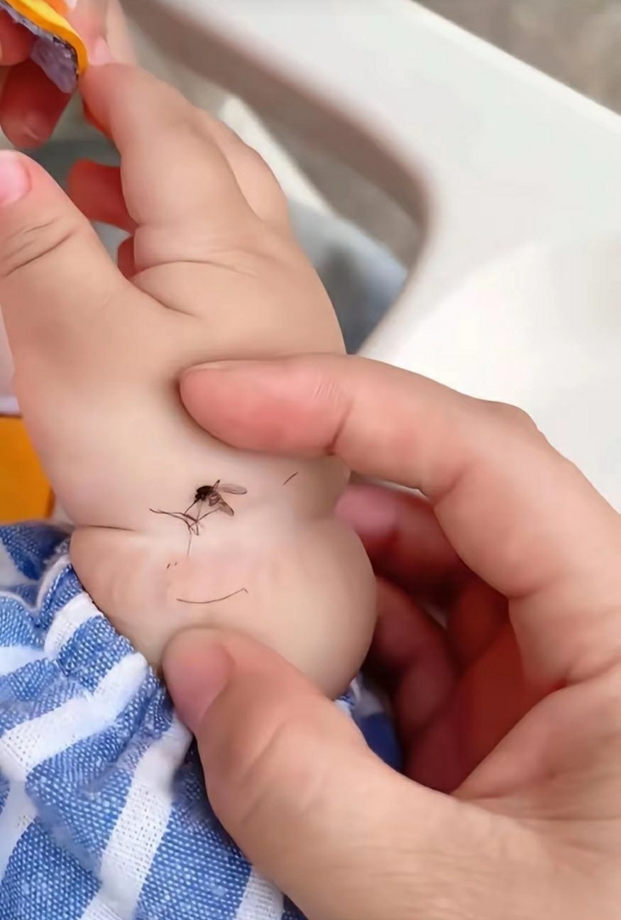这只蚊子是我见过死的最惨的 
