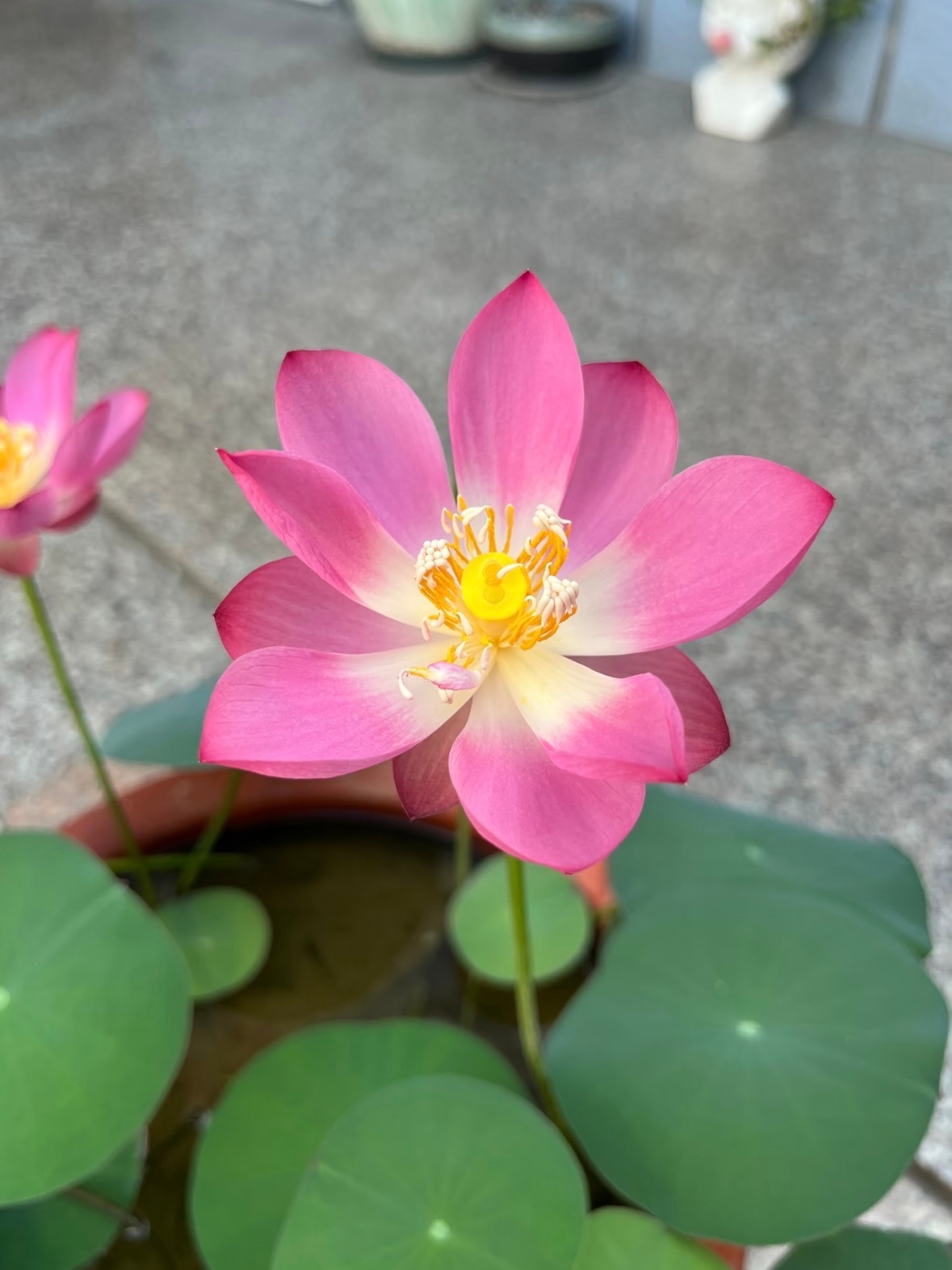 初见惊艳再看 咋还质疑我？