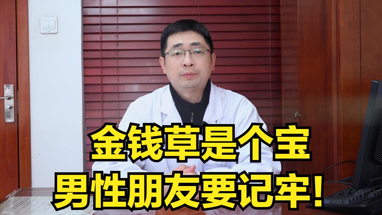 金钱草是个宝，这三种搭配，男性朋友要记牢！

金钱草是田间地头很常见的一种野草，