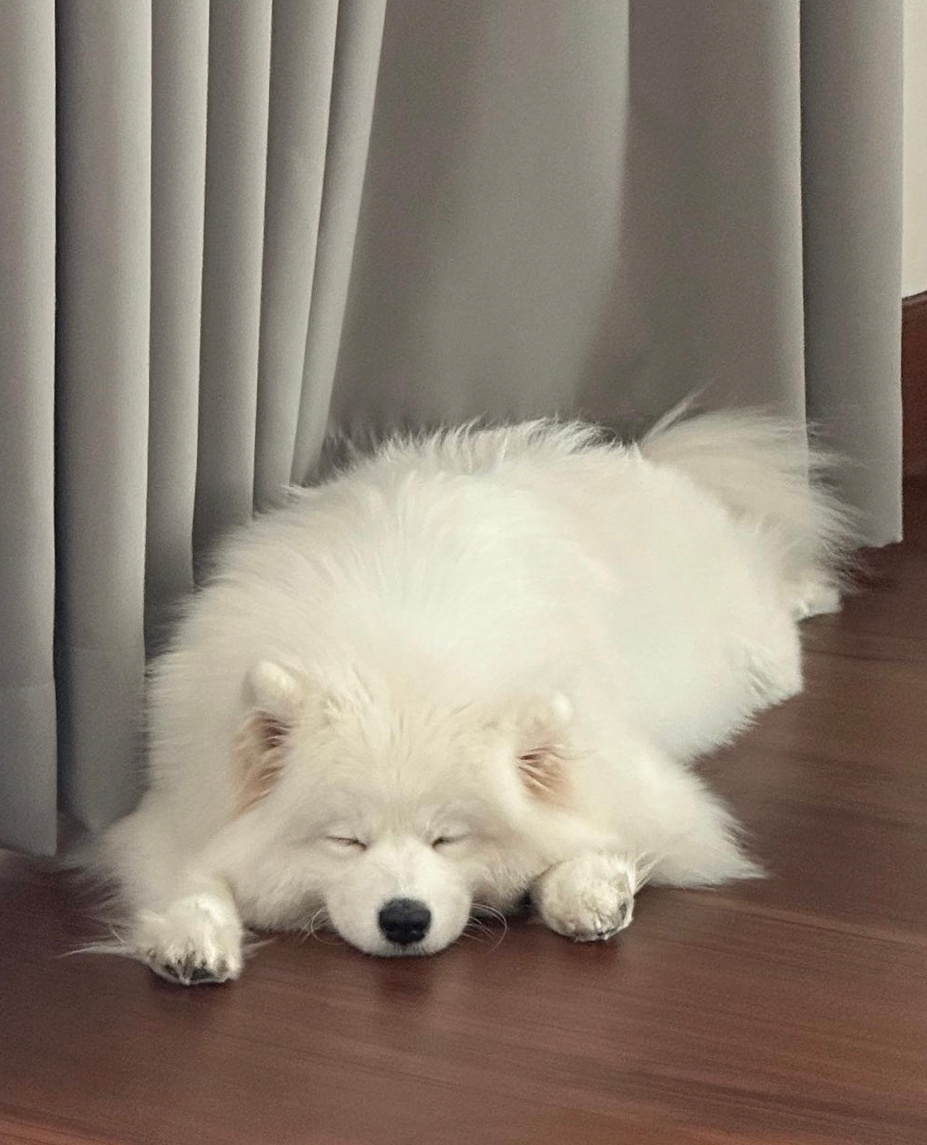 晚安耶 ​​​