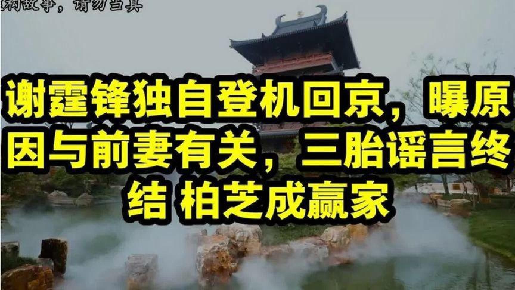 谢霆锋独自登机回京，曝原因与前妻有关，三胎谣言终结柏芝成赢