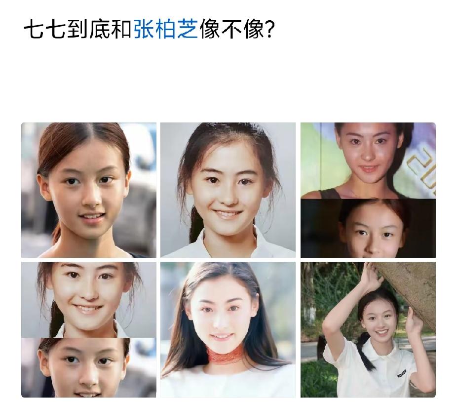 不相，比张柏芝差远了，别来蹭，七七自带土气