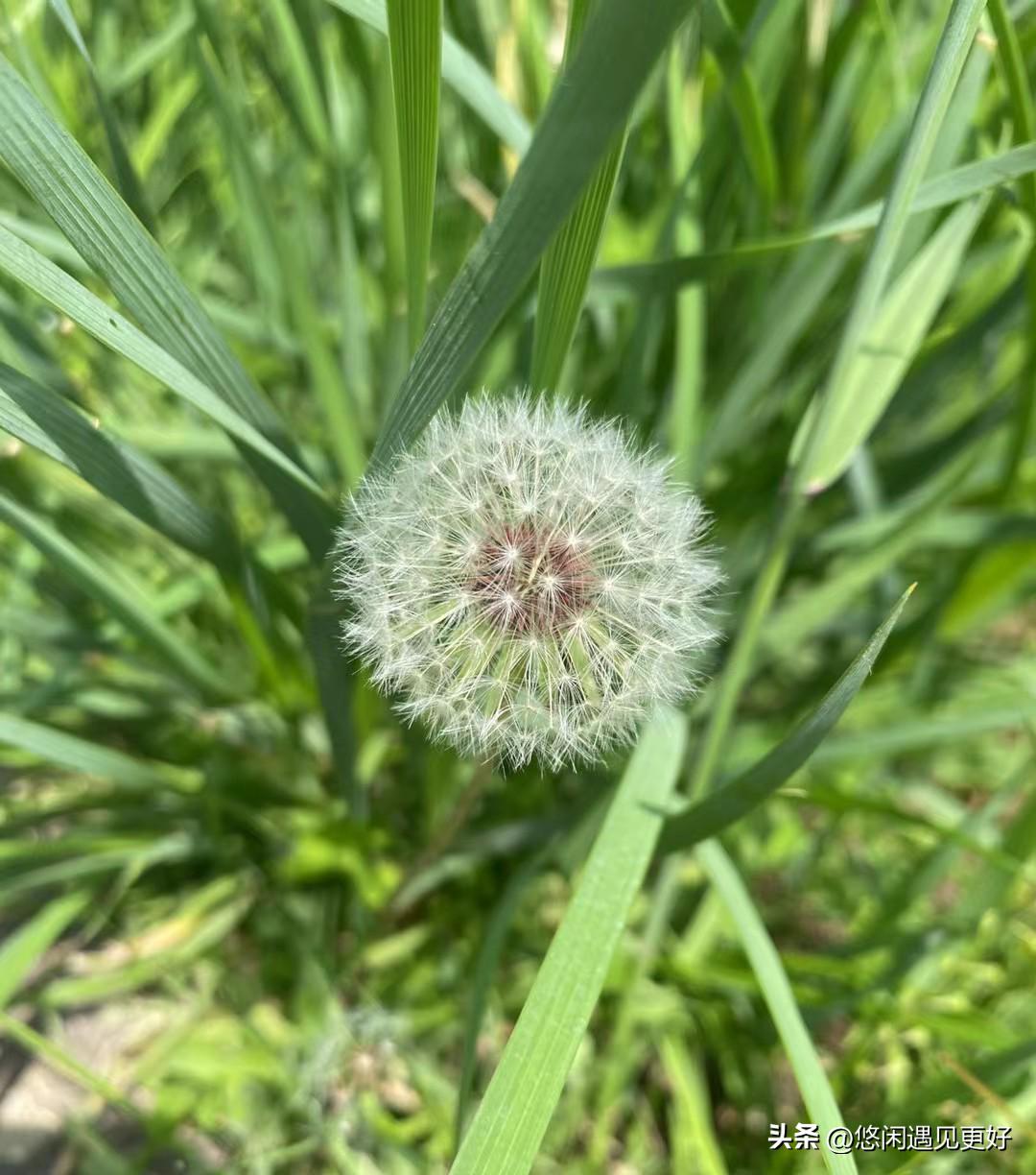 金榜题名，那可是多少学子梦寐以求的时刻啊！就像范进中举时的癫狂，虽然有点夸张，但