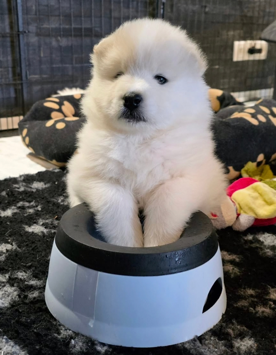 上顿饭已经吃完三小时了，请问什么时候再开饭呀 