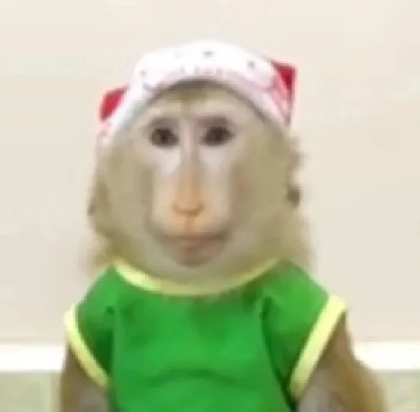 网上天天说摆烂，半夜学到两点半[吧唧R