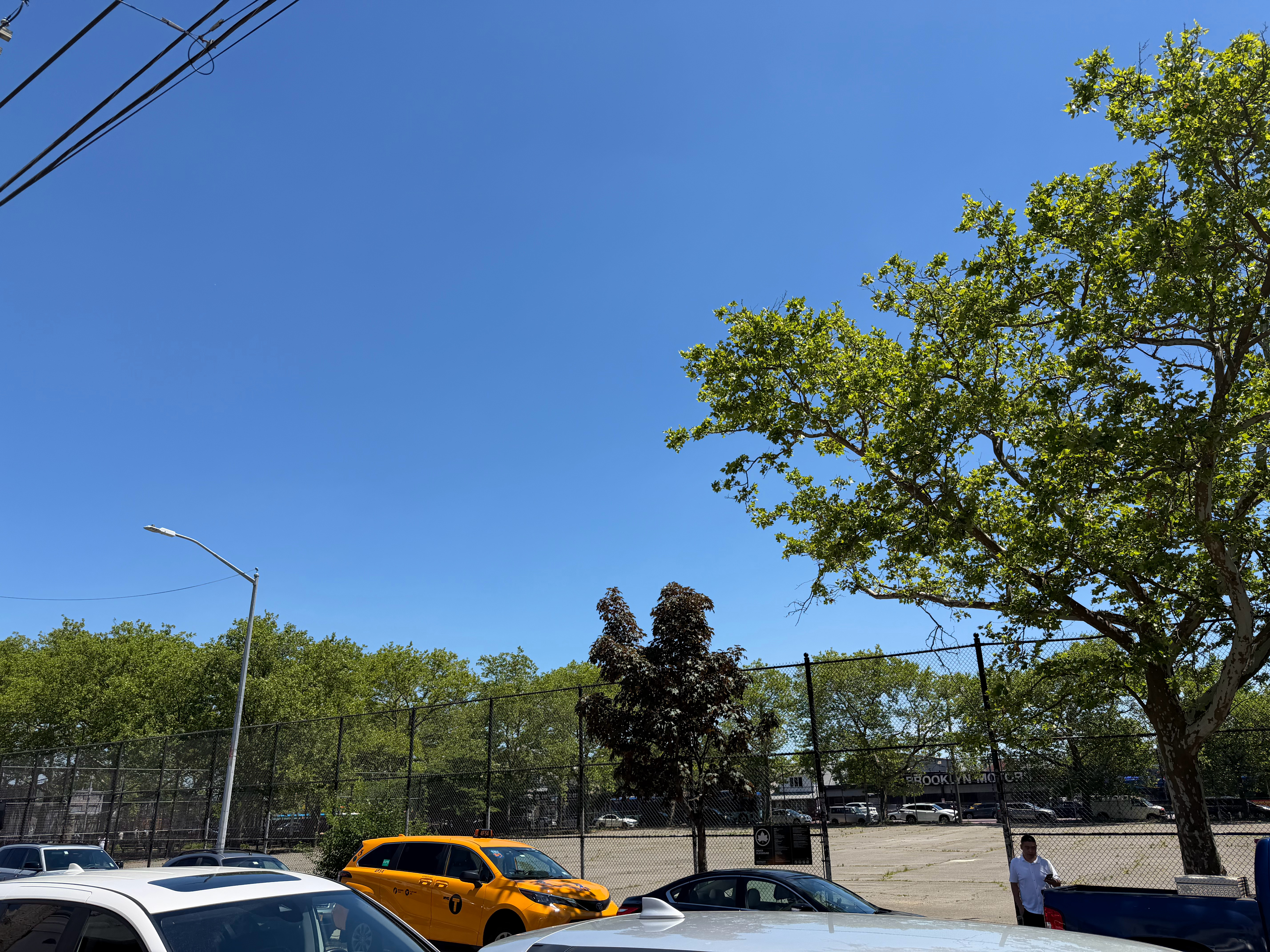 早安，纽约！这天气适合 美国·Brooklyn NY