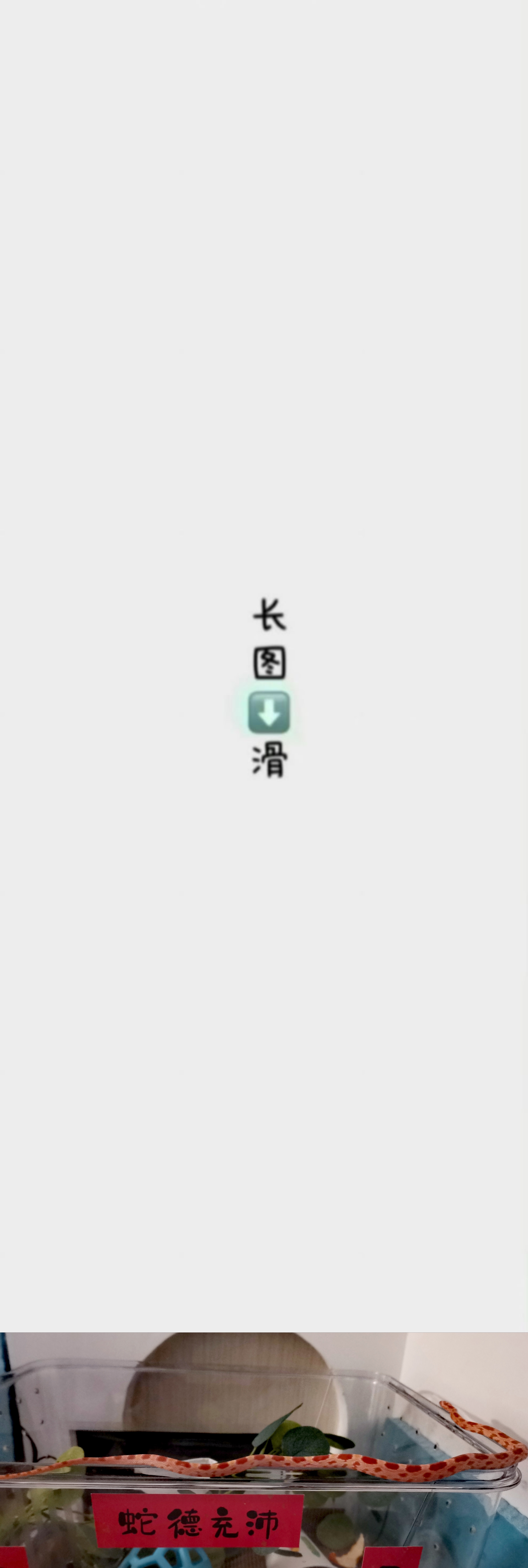 7828【蛇🐍】走直线，但又没完全走 