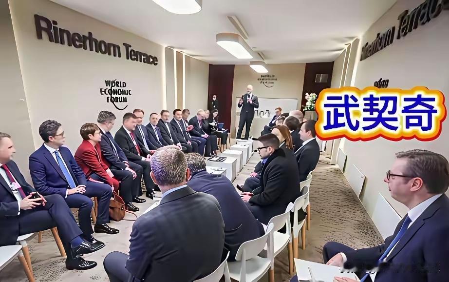 看到这一幕
是不是就能理解为什么武契奇对华友好了吧
欧洲各国领导人开会
塞尔维亚