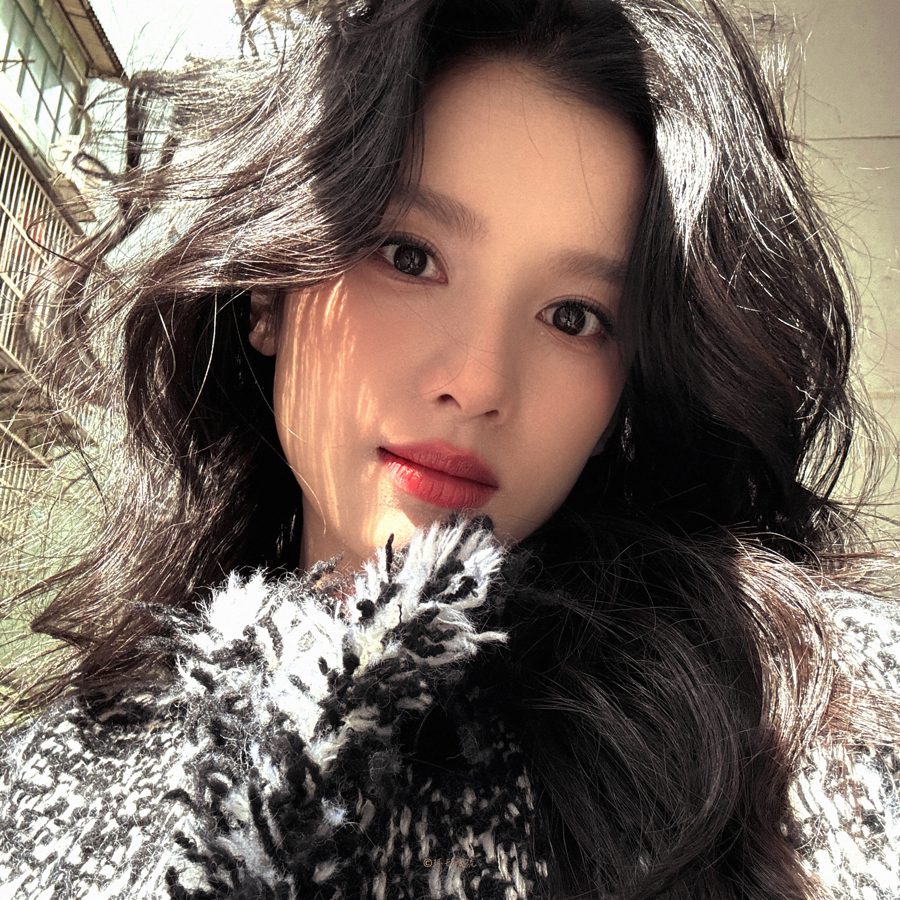 张婧仪 