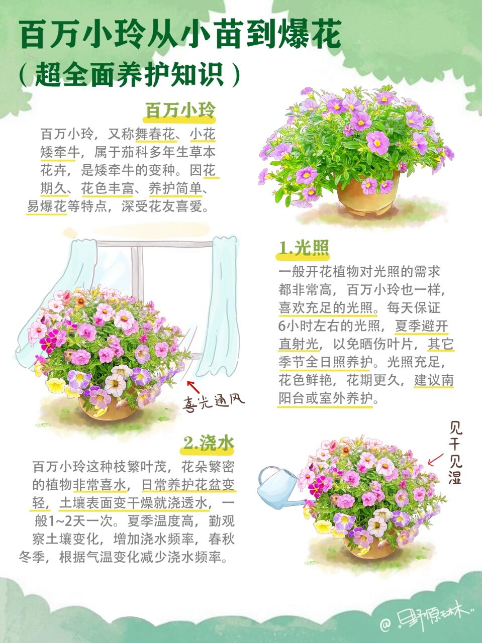 百万小铃日常养护知识分享