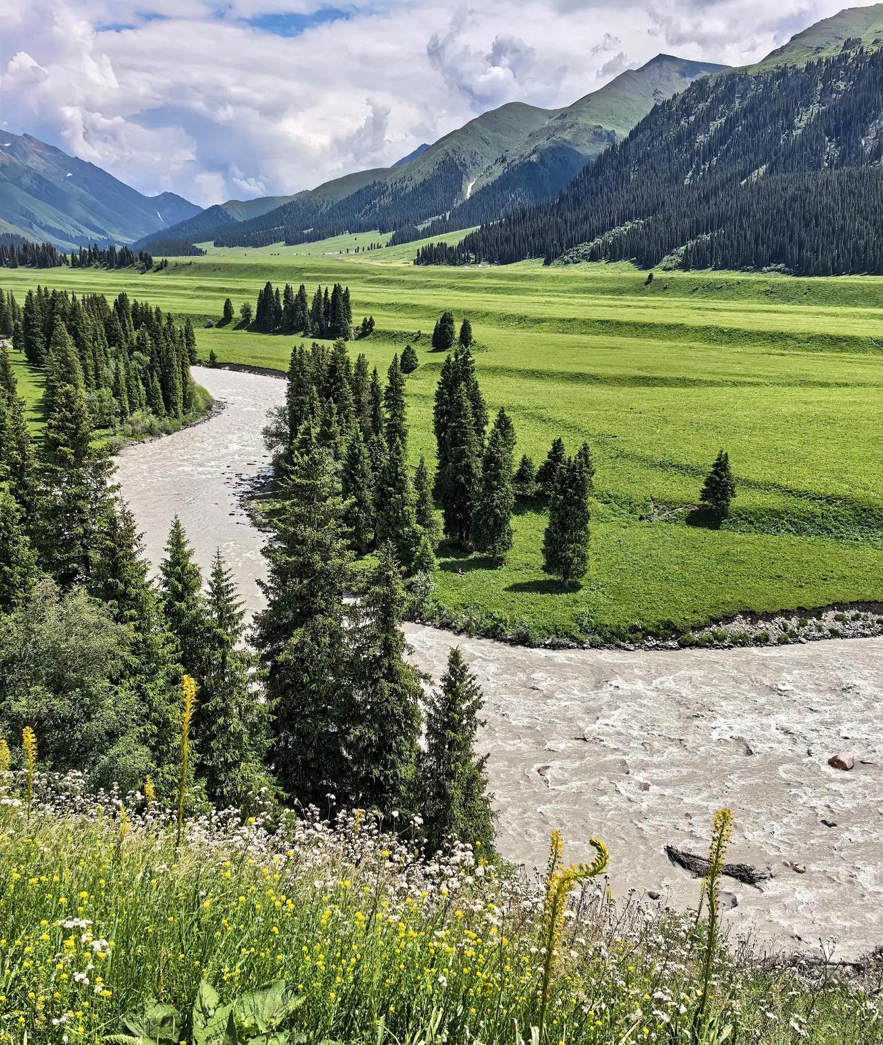 我同样难以忍受深圳的夏季，退休前无可奈何，退休后每年5月底便逃离，前往贵州、云南