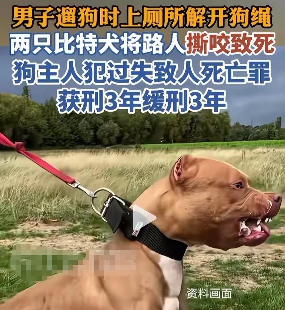 谅解与自首，只是从轻的情节，不是减轻的情节，更不是影响案件定性的依据。
法庭调查