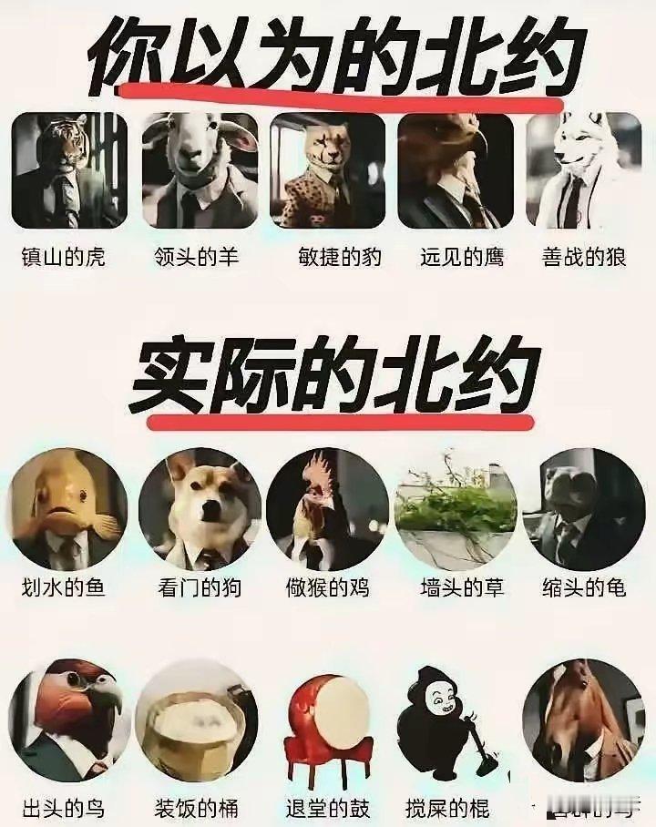 这位网友太有才了……哈哈，展现的淋漓尽致！我们院系女生说：北约就是一个渣男！大家