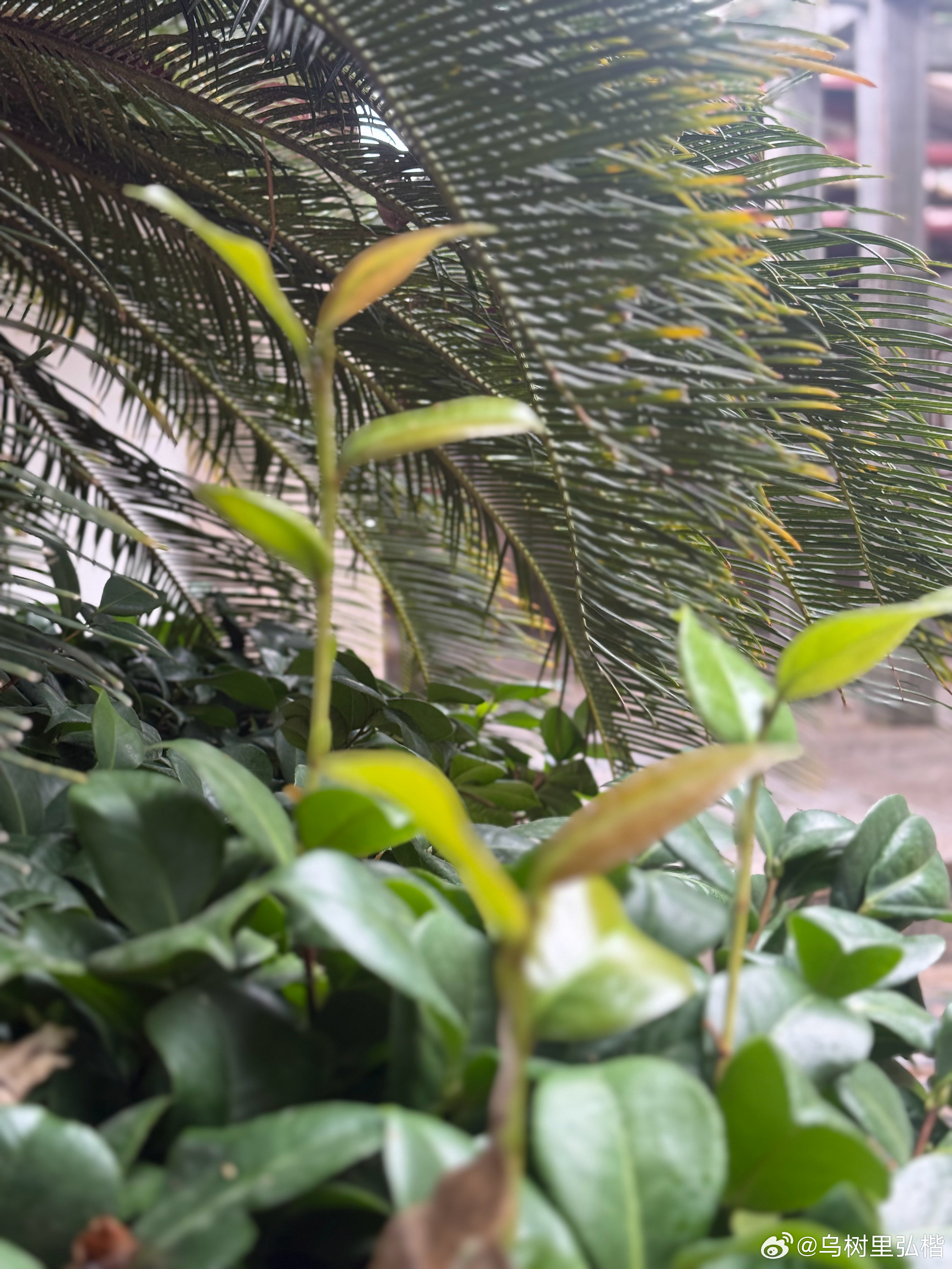 生活从不是一路繁花，更多的是寻常烟火，琐碎日常。我们总在追逐远方的风景，却常常忽