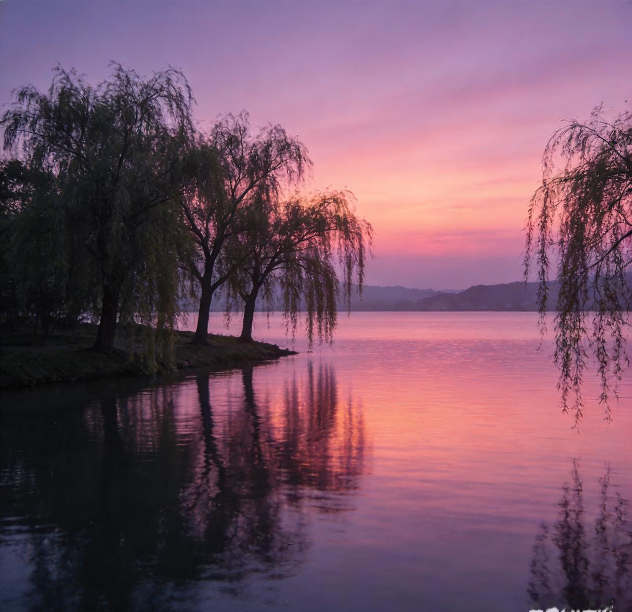 昨晚六点，我骑车经过钱塘江，天边忽然泼下一层粉紫，像有人打翻了大号牛奶杯。
我把