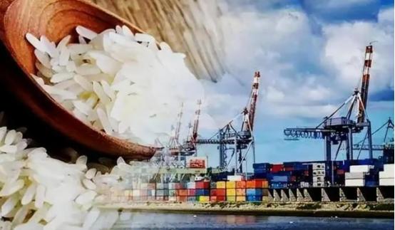 一粒米的基因，正在撬动一个国家的外贸版图。中国海关一次性吊销7家印度米商的输华牌