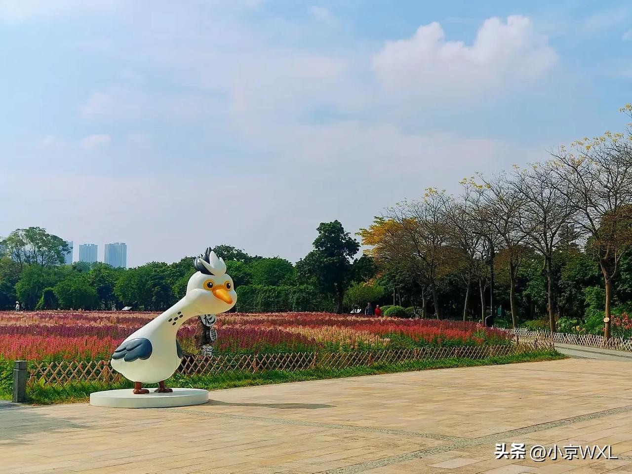 海珠湿地醉蝶花开
晒图笔记大赛
打卡海珠湿地公园，醉蝶花开花正浓，飞龙寻芳。
一