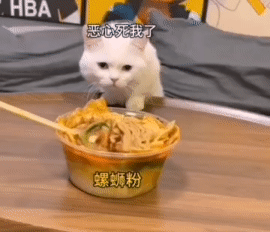 猫：大过年的，吃这恶心东西[捂脸]
#猫咪是个戏精#