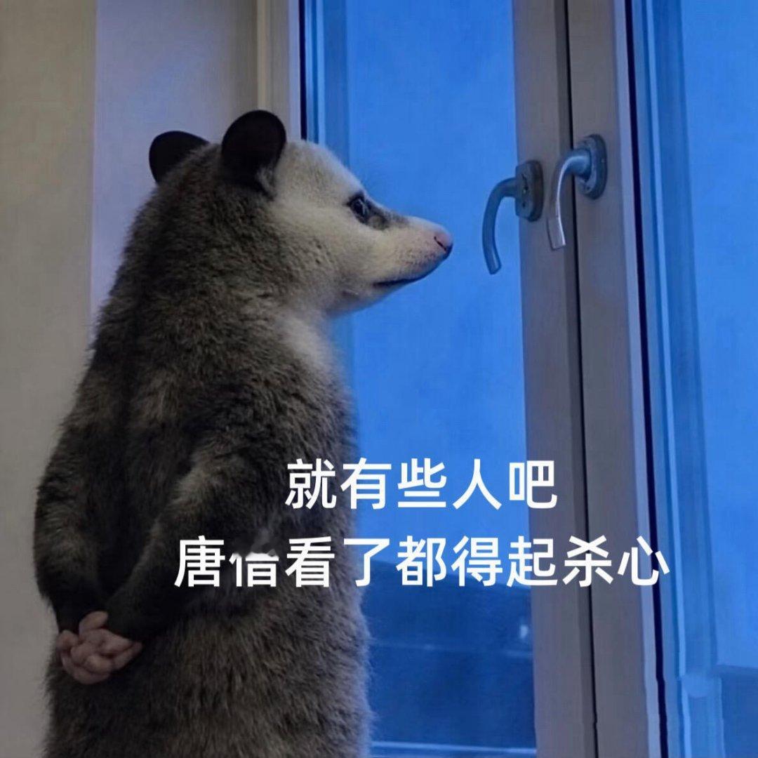 事已至此，谁发的谁去自尽吧，我批准了 