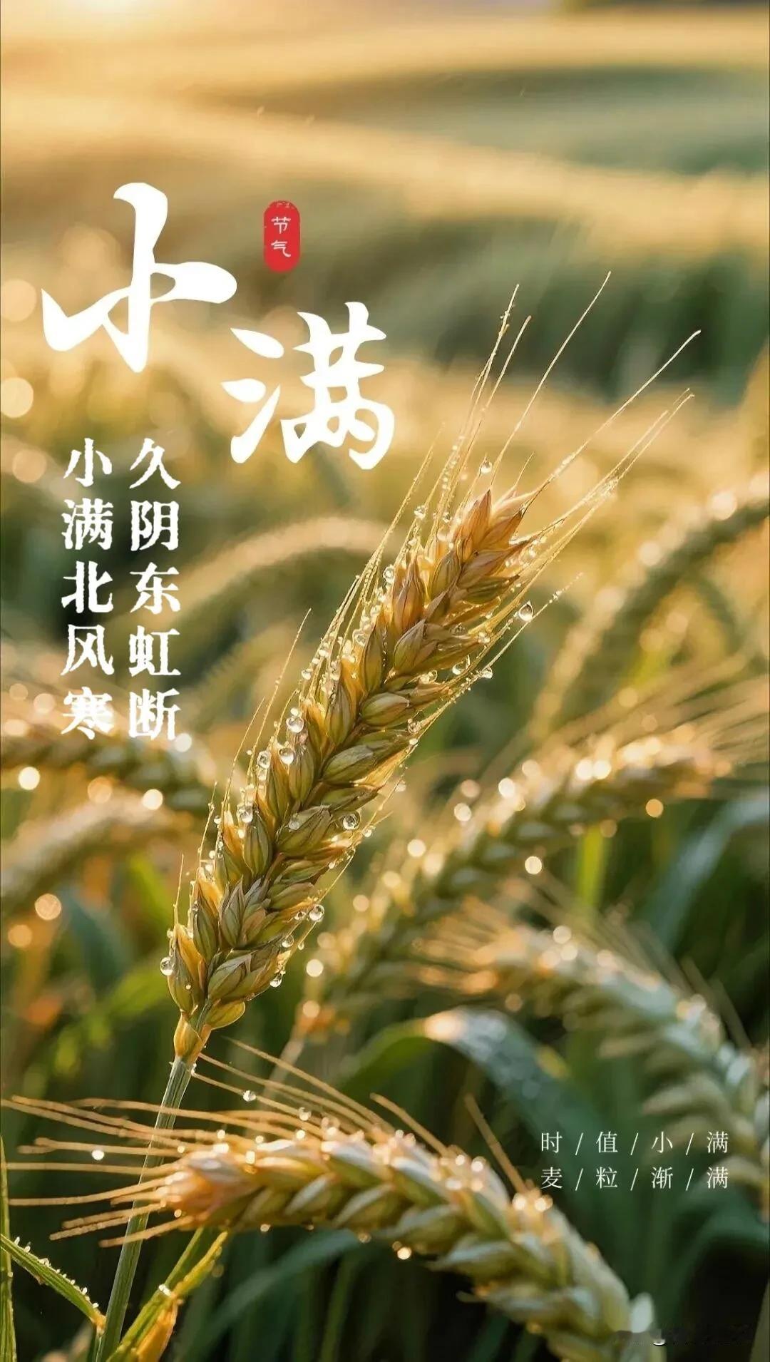 唤醒好心情，开启元气满满的崭新一天。