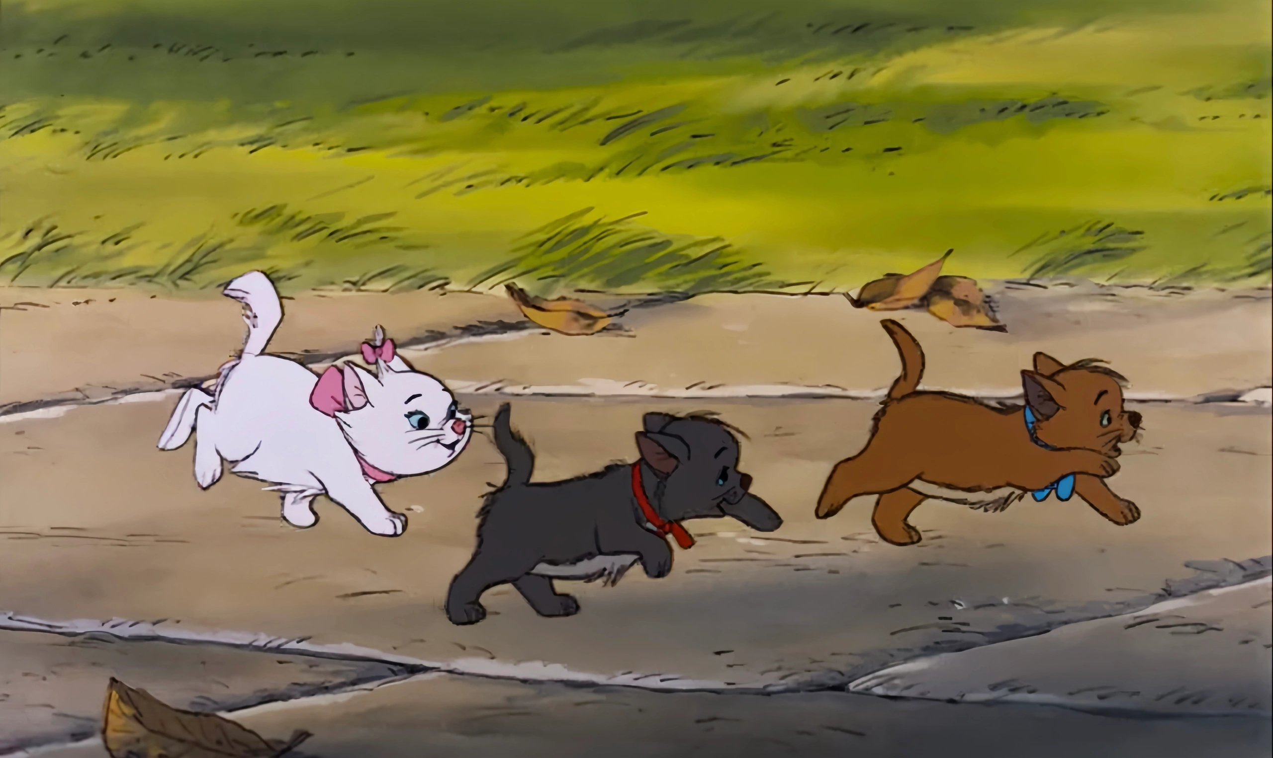 𝙰𝚛𝚒𝚜𝚝𝚘𝚌𝚊𝚝𝚜 ₊⁺🎀₊⁺ 🐾🐾🐾 