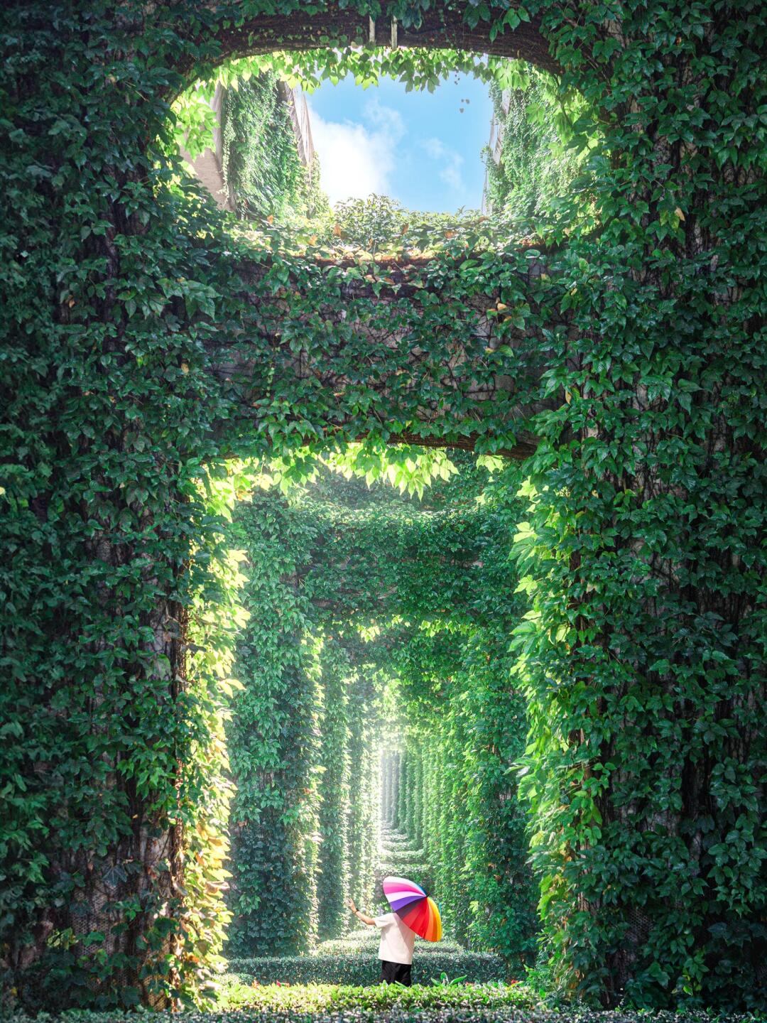 为了这组照片我专门飞了趟成都，到底值不值？