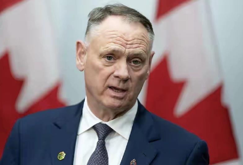 日前，加拿大防长麦坚迪表示，加拿大已正式加入欧盟推出的“欧洲安全行动”（SAFE