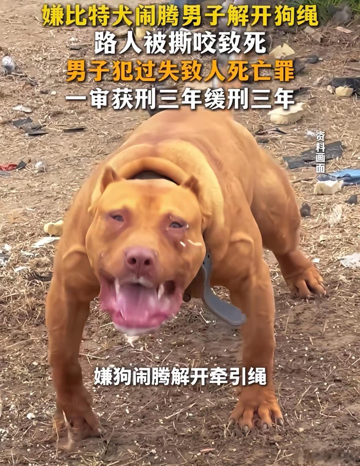 这种不是故意杀人吗？判的这么轻？ 
