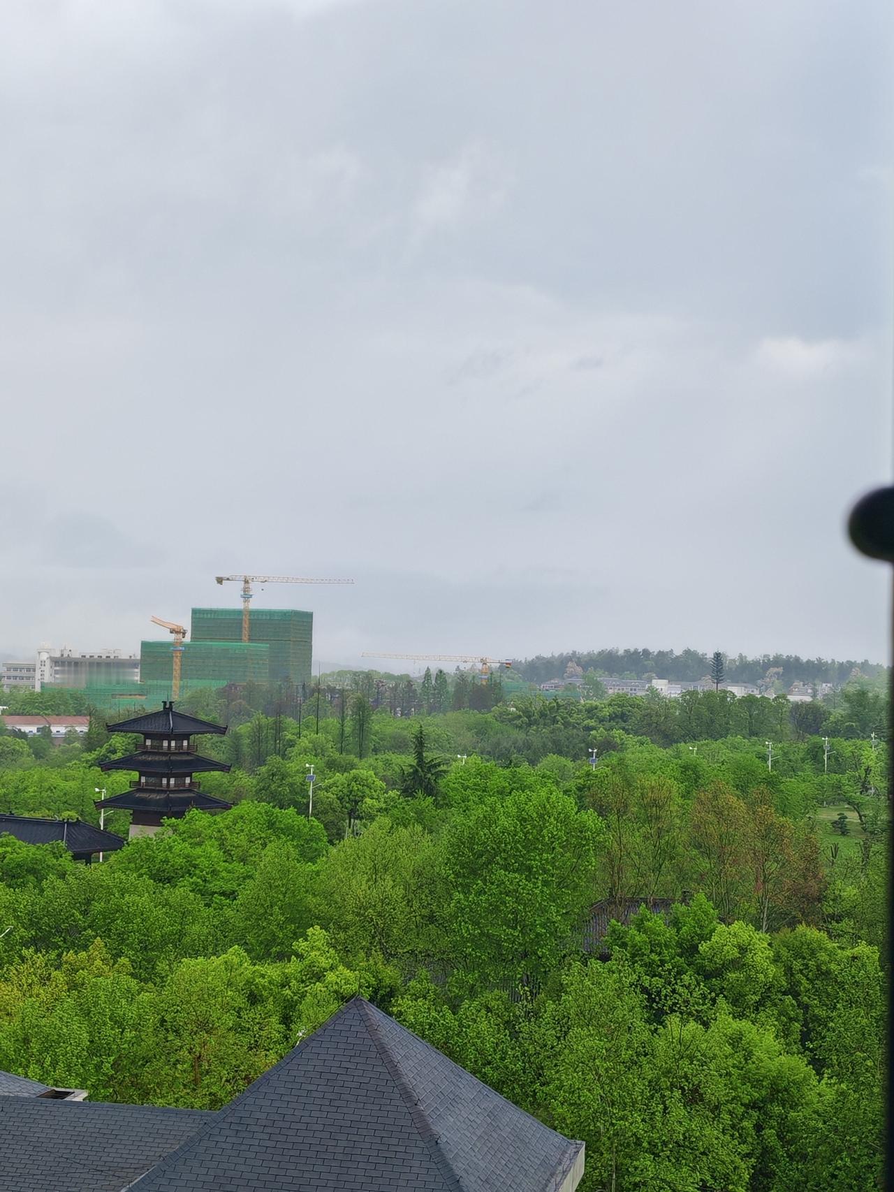下雨天没出门，窝在家里看窗外，树木被雨水一洗，绿得发亮，心情都跟着变美了。
下雨
