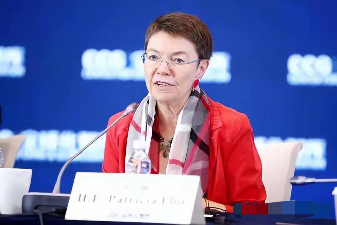 德国的高官也说空调是自私自利的表现，牺牲他人的感受和大自然的自我调节。热了，可以