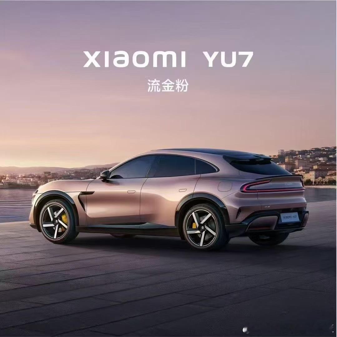 有句话不知道该不该说：小米选了一条路就叫做：与其做一些原创，但可能受众需要时间适