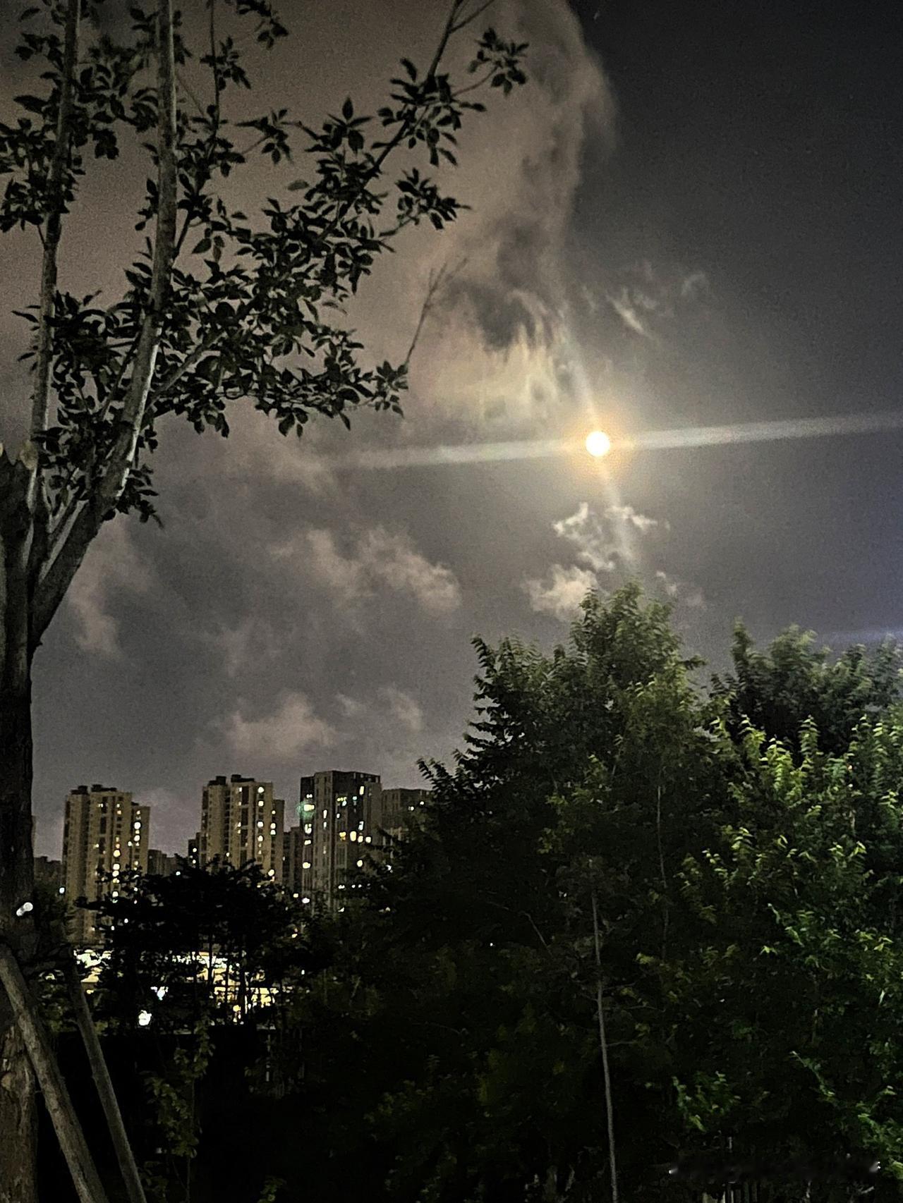 有段非常有智慧的话：“聪明的人，从来不和任何人走的太近，近则不恭，远则生怨，智商